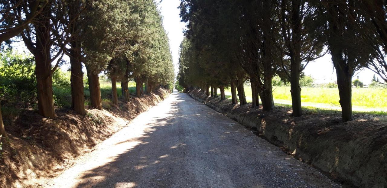 La Casa Della Pieve Vecchia Leilighet Marmigliaio Eksteriør bilde